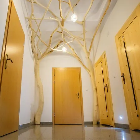 Dorula Alojamento de Acomodação e Pequeno-almoço