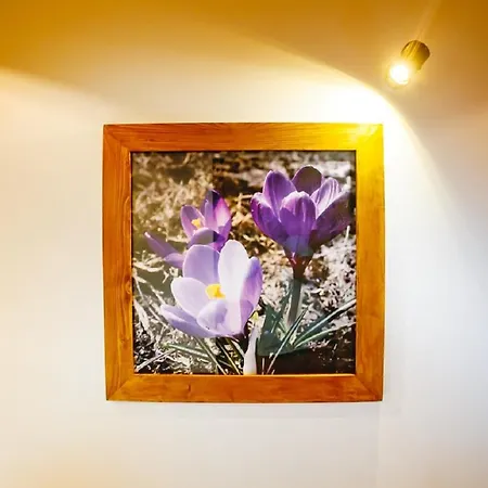 Dorula 3* Ciche Małe