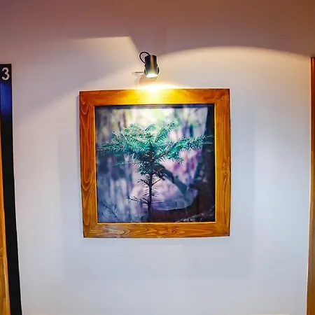 Alojamento de Acomodação e Pequeno-almoço Dorula