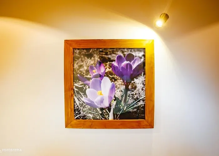 Dorula 3* Małe Ciche